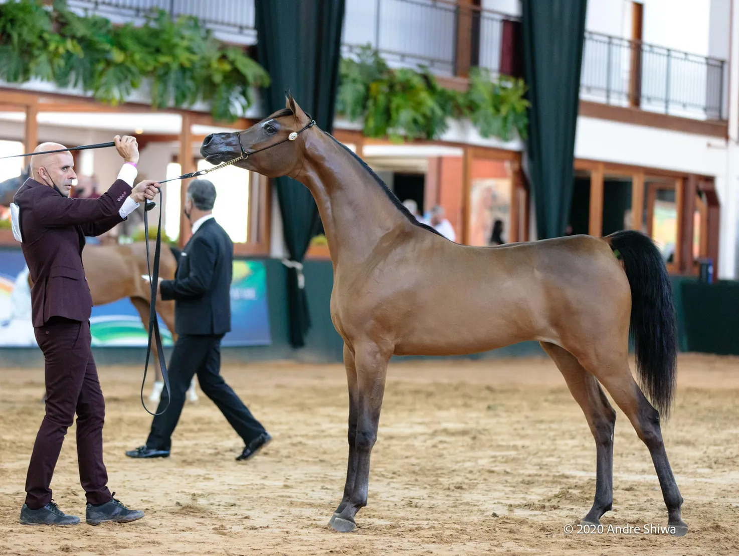 Keishah Bint Lami RB(x *Dominic M)